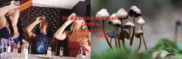 твердый Зерноград