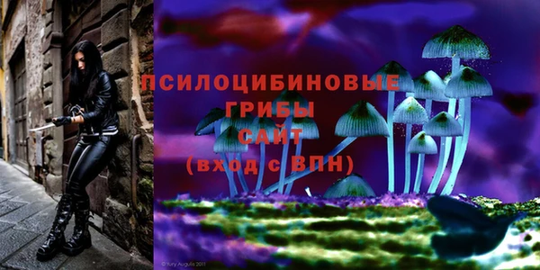шишки Зеленодольск