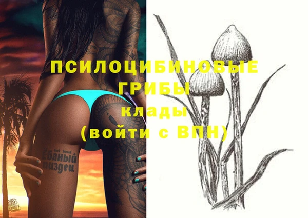твердый Зерноград