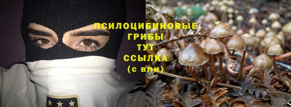 ALPHA PVP Зеленокумск