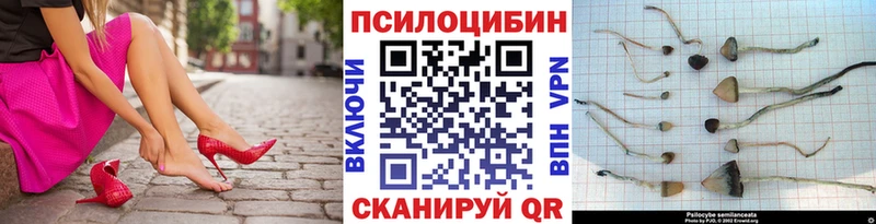 mega ссылки  цены   Ивантеевка  Галлюциногенные грибы Cubensis 